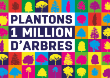 Logo du projet Plantons 1 million d'arbres